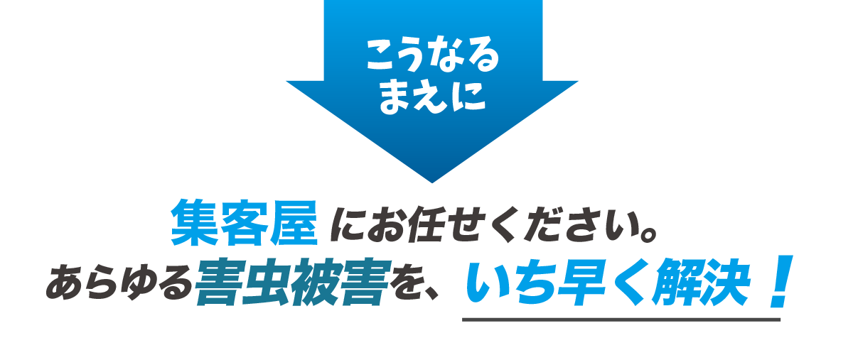 こうなるまえに